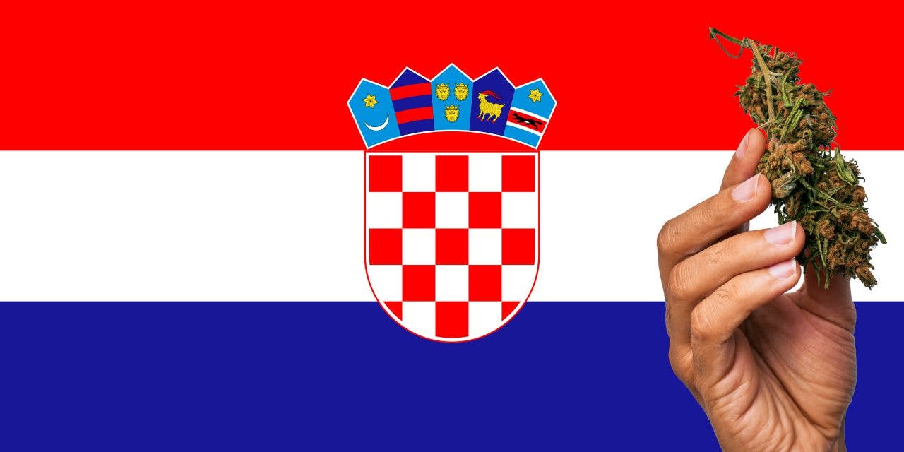 Croatia flag with a hand holding a marijuana infront of it