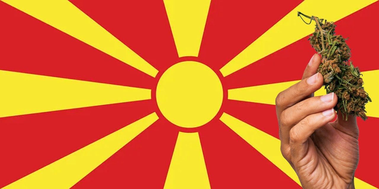North Macedonia flag with a hand holding a marijuana infront of it