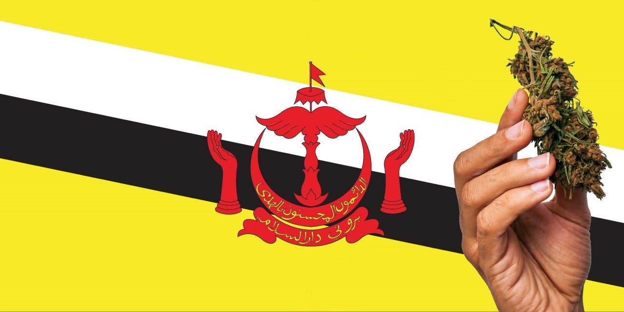 Brunei flag with marijuana in front of it