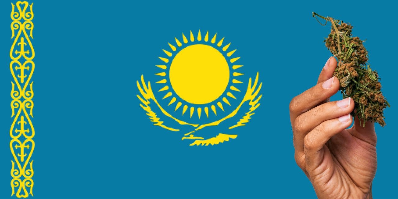Flag of Kazakhstan with marijuana in front.