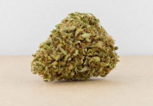 sensi star marijuana cannabis strain
