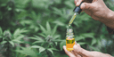 How to choose and dose cannabis tinctures