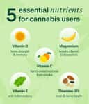 Key vitamins and minerals for cannabis users