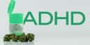 7 Best Strains for ADHD