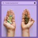 Cannabis drug interactions