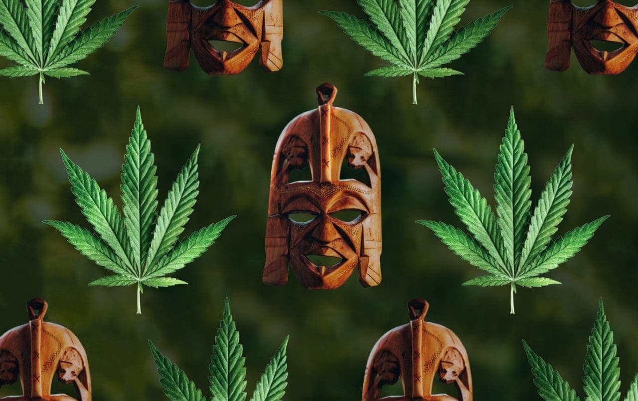 The History of Cannabis in Africa