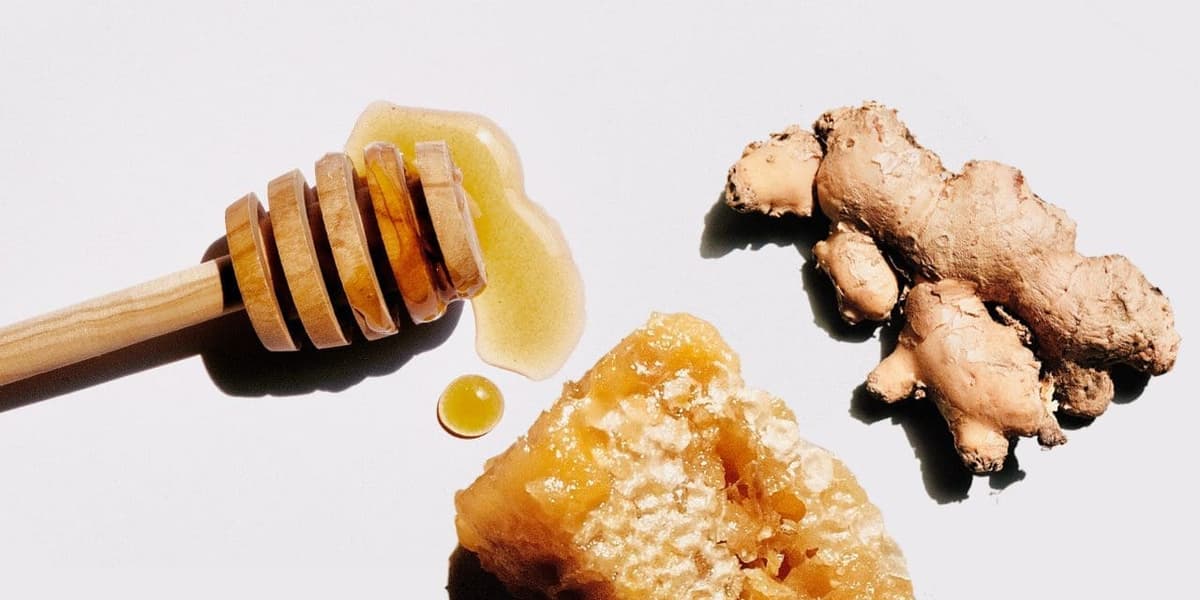 What Is Galangin? Guide to the Flavonoid