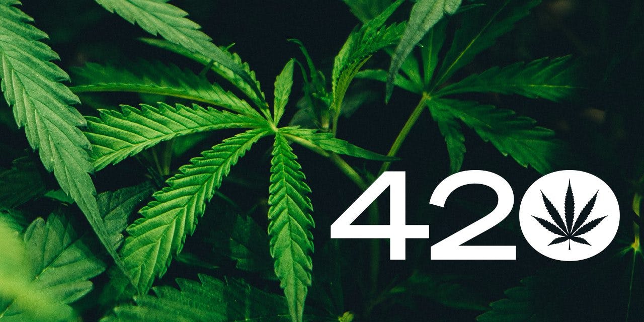 What Does 420 Mean? The History of April 20 and Cannabis