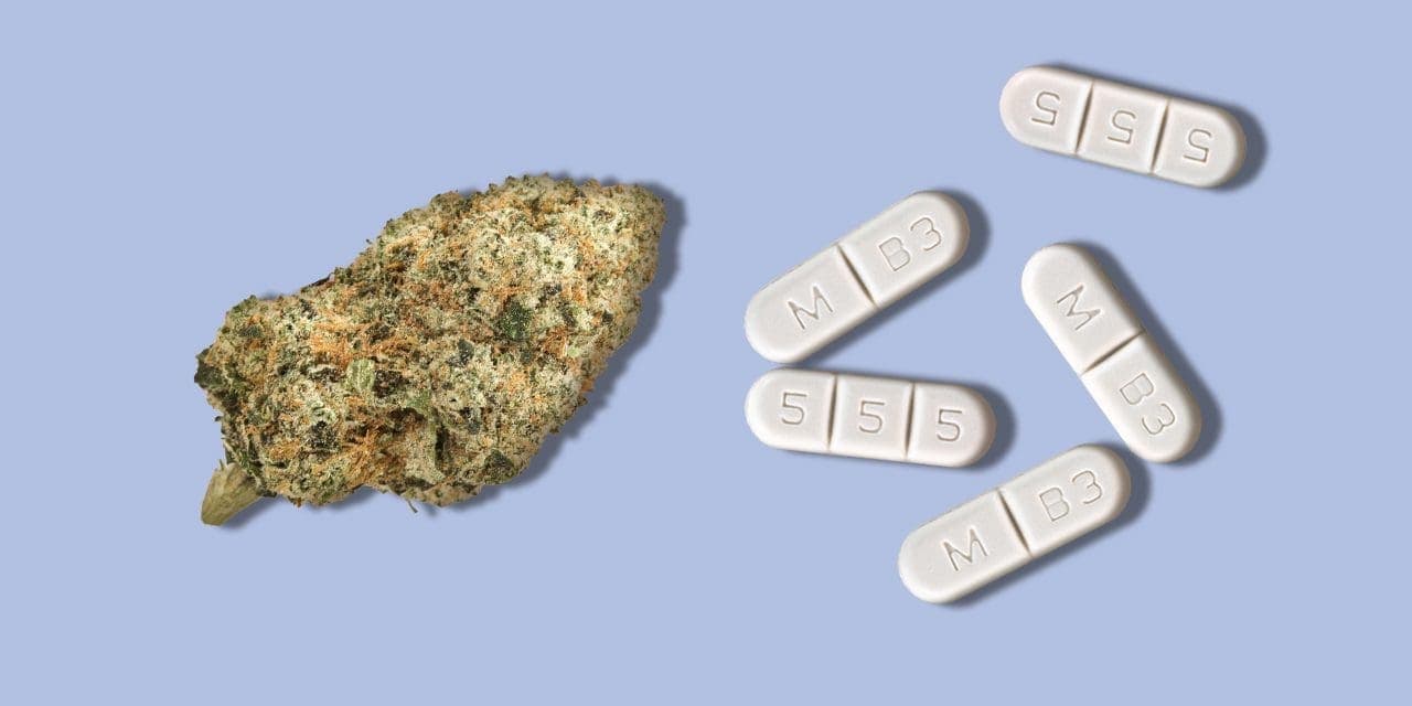Can You Use Marijuana If You Take Vyvanse?