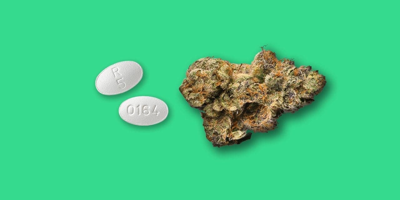 Does Marijuana Interact Negatively with Olanzapine?