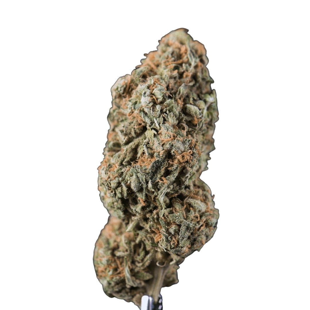 closeup of white widow cannabis nug