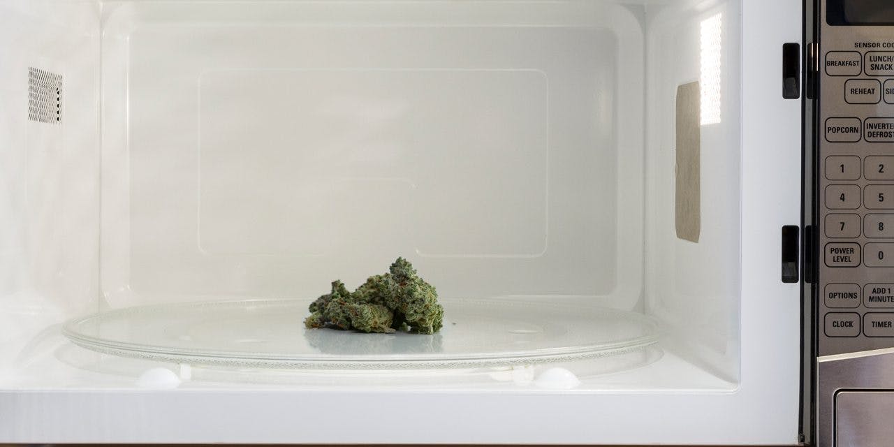 https://leafwell.com/_next/image?url=https%3A%2F%2Fadmin.leafwell.com%2Fapp%2Fuploads%2F2022%2F10%2FBlog_does-microwaving-weed-make-it-more-potent.jpg&w=3840&q=75