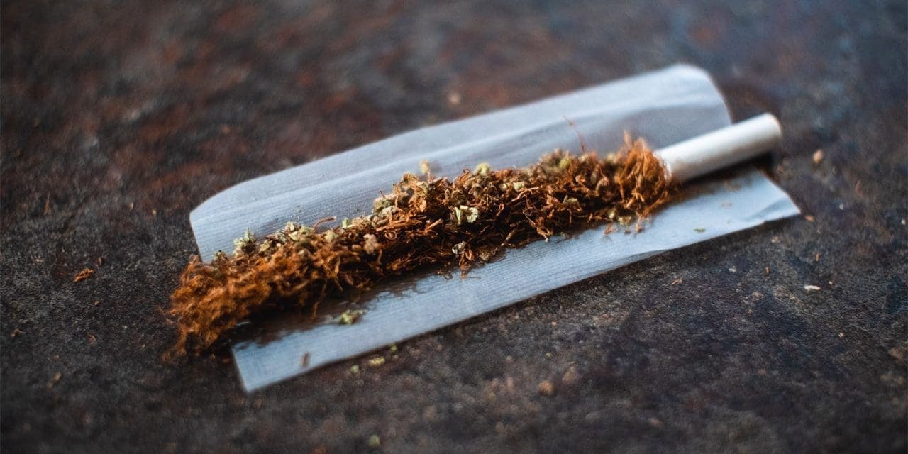 qu-es-un-spliff-y-c-mo-se-l-a-uno-leafwell