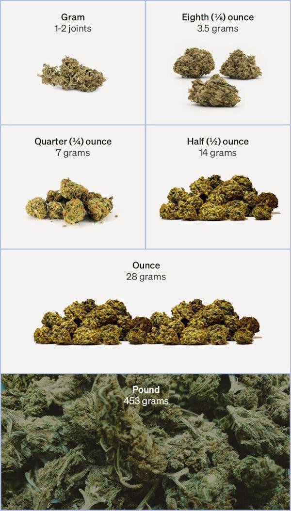 Weed Measurement Guide: Get a Visual of Common Weights