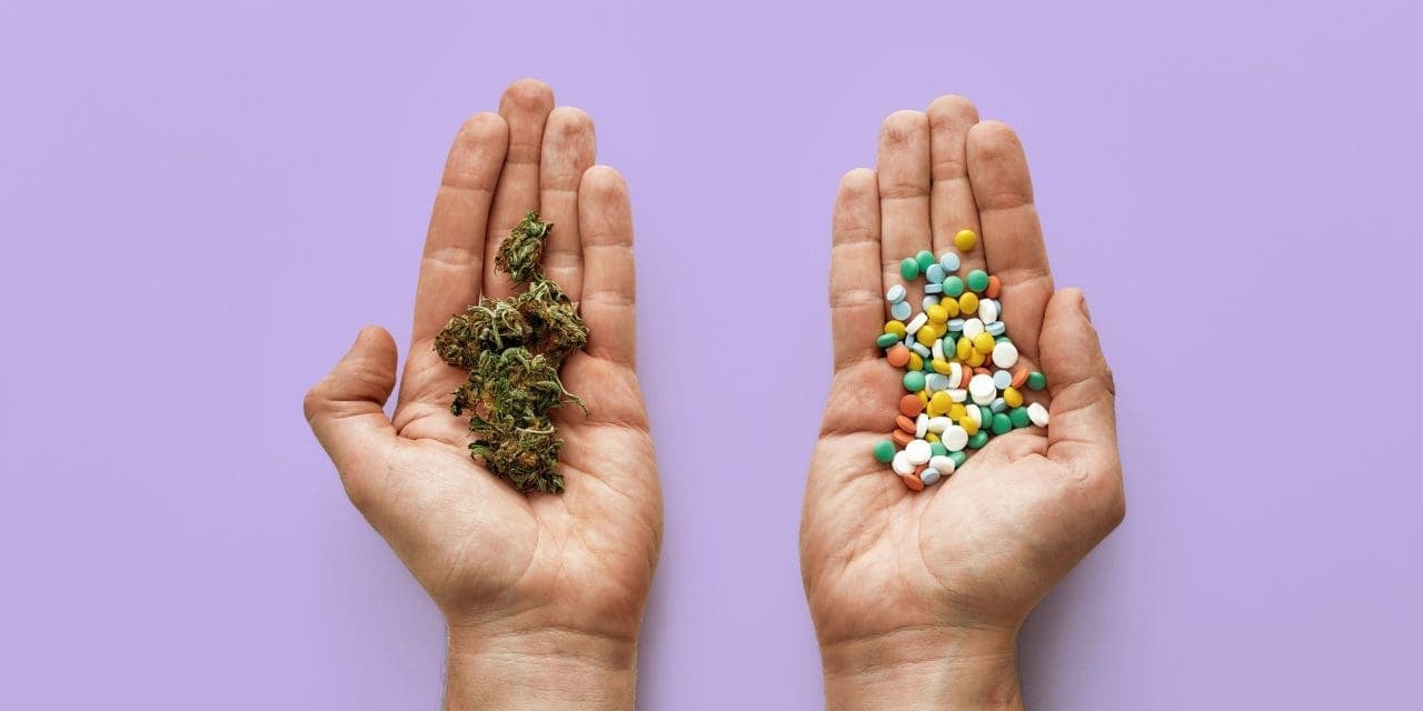 Can You Mix Weed and Antibiotics?