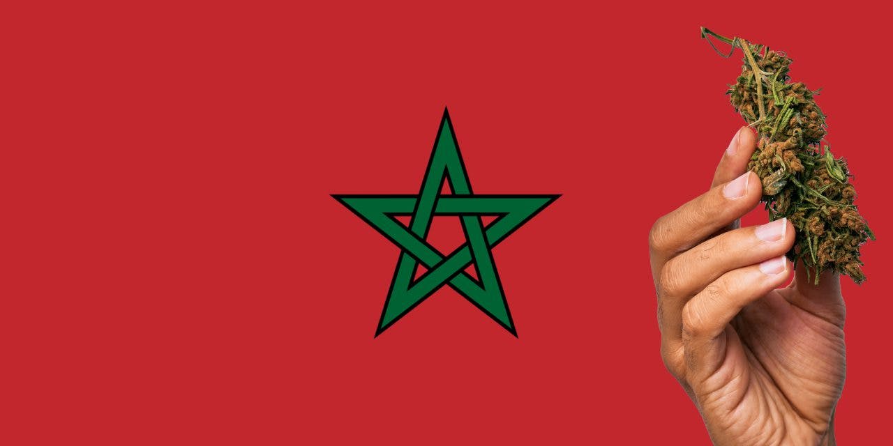 moroccan flag with marijuana bud in front