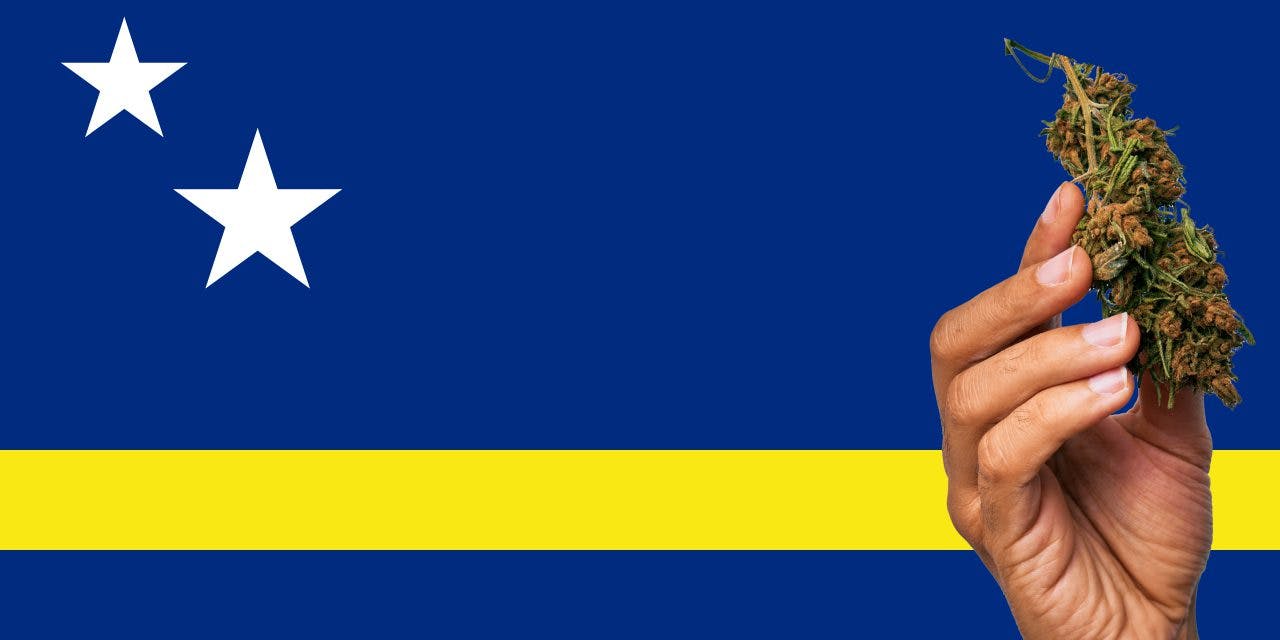 Curaçao flag with marijuana in front