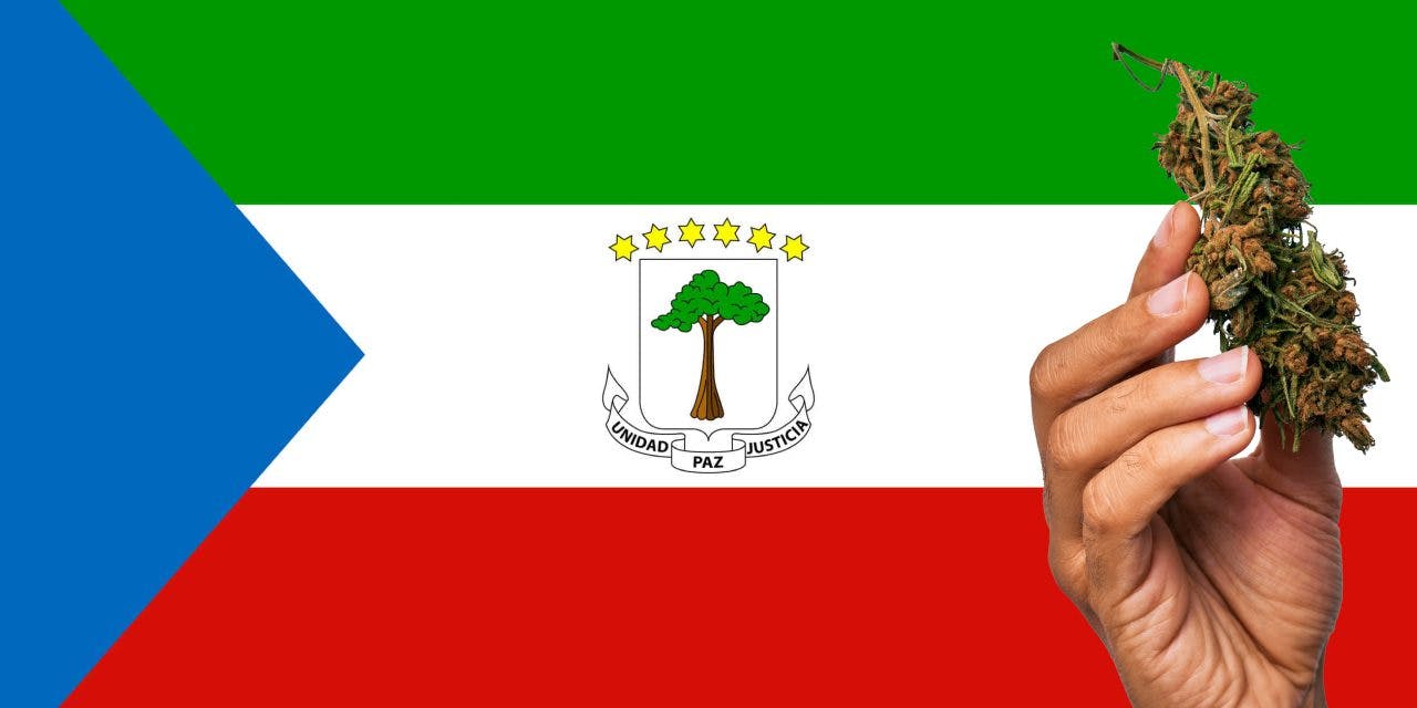 Equatorial Guinea flag with marijuana in front.