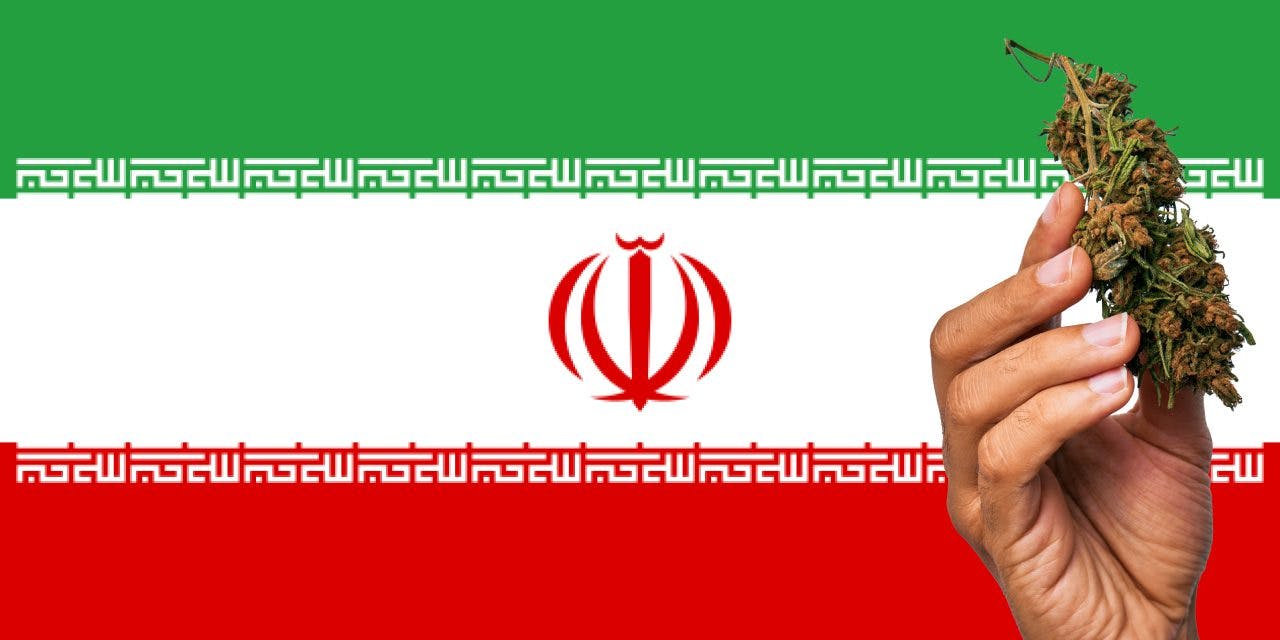 Iranian flag with marijuana in front.