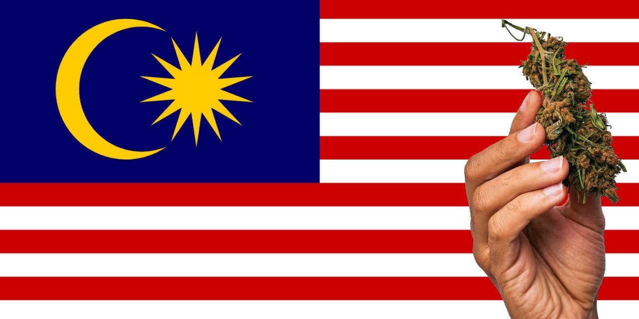 Malaysia flag with marijuana in front of it