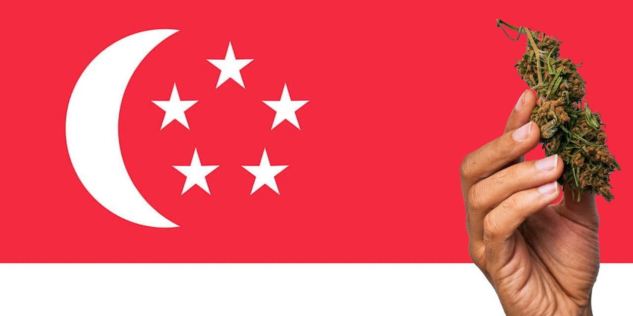 Singapore flag with marijuana in front of it