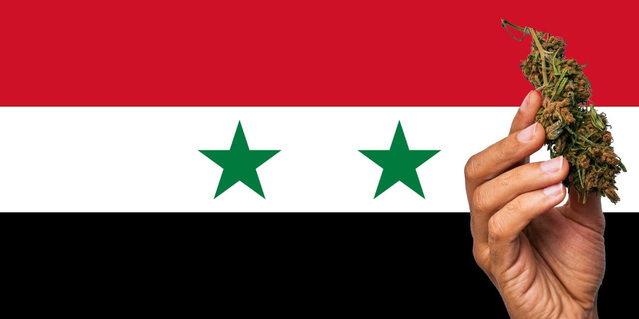 Syria flag with cannabis in front of it