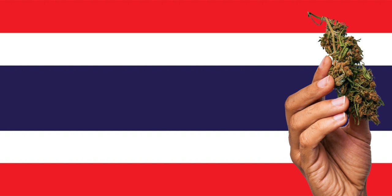 Thailand flag with marijuana in front.