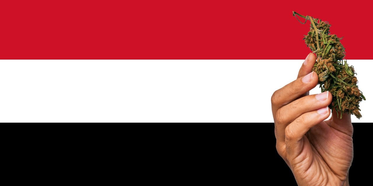 Yemen flag with marijuana in front of it