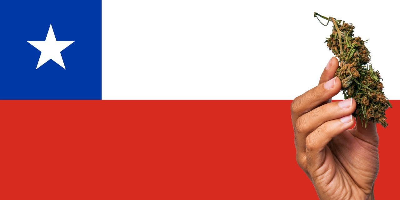 Chile flag with a hand holding a marijuana infront of it