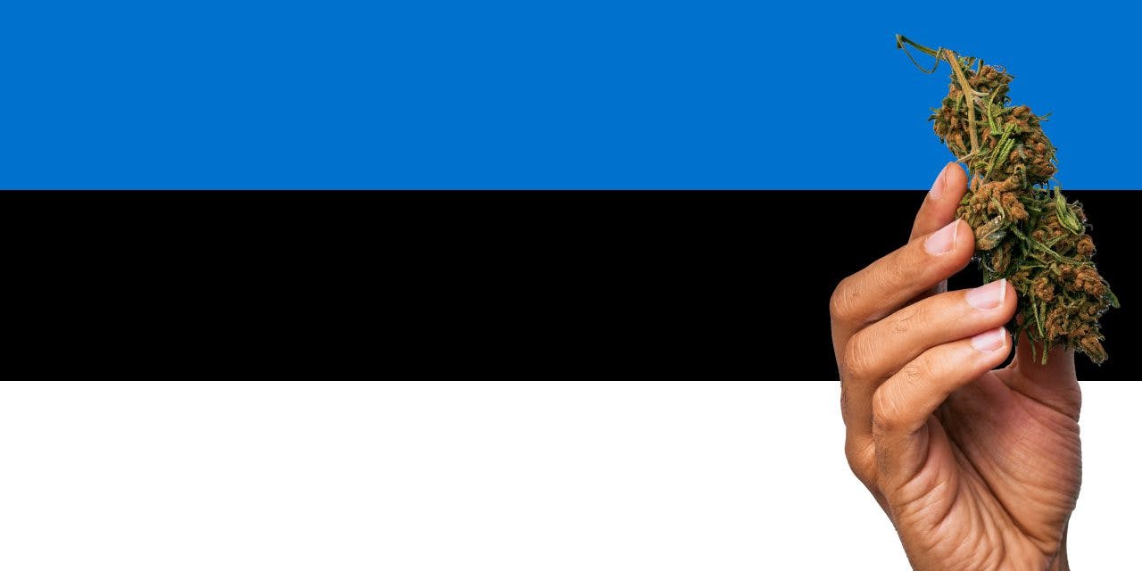 Estonia flag with a hand holding a marijuana infront of it
