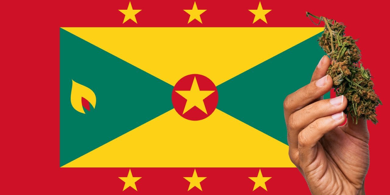 Grenada flag with a hand holding a marijuana infront of it