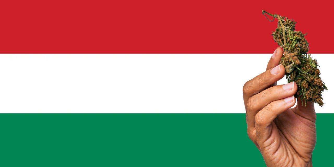 Hungary flag with a hand holding a marijuana infront of it