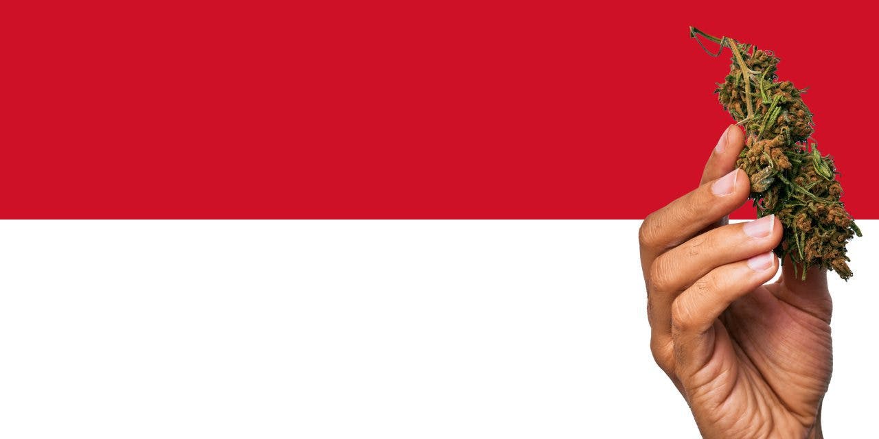 Monaco flag with a hand holding a marijuana infront of it