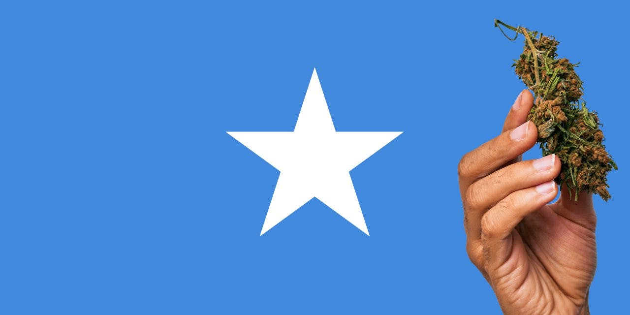 Somalia flag with a hand holding a marijuana infront of it