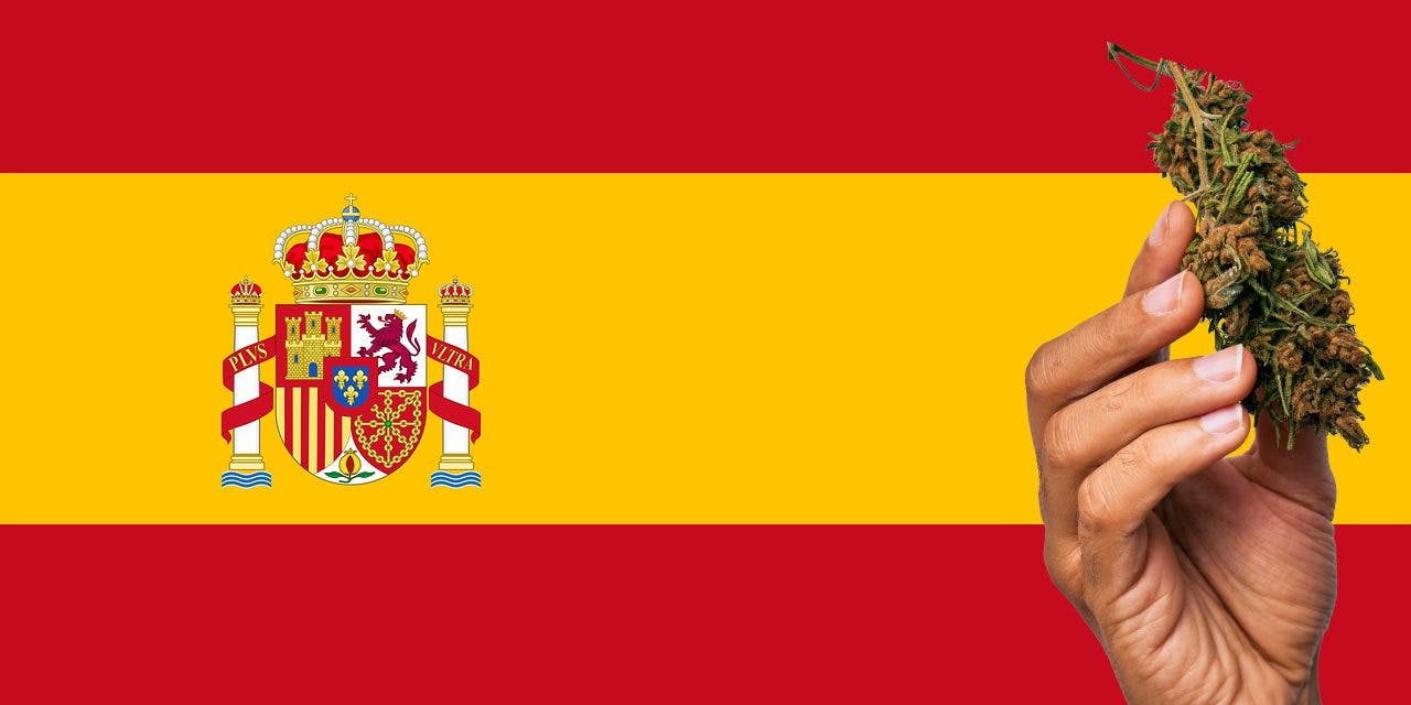 Spain flag with a hand holding a marijuana infront of it