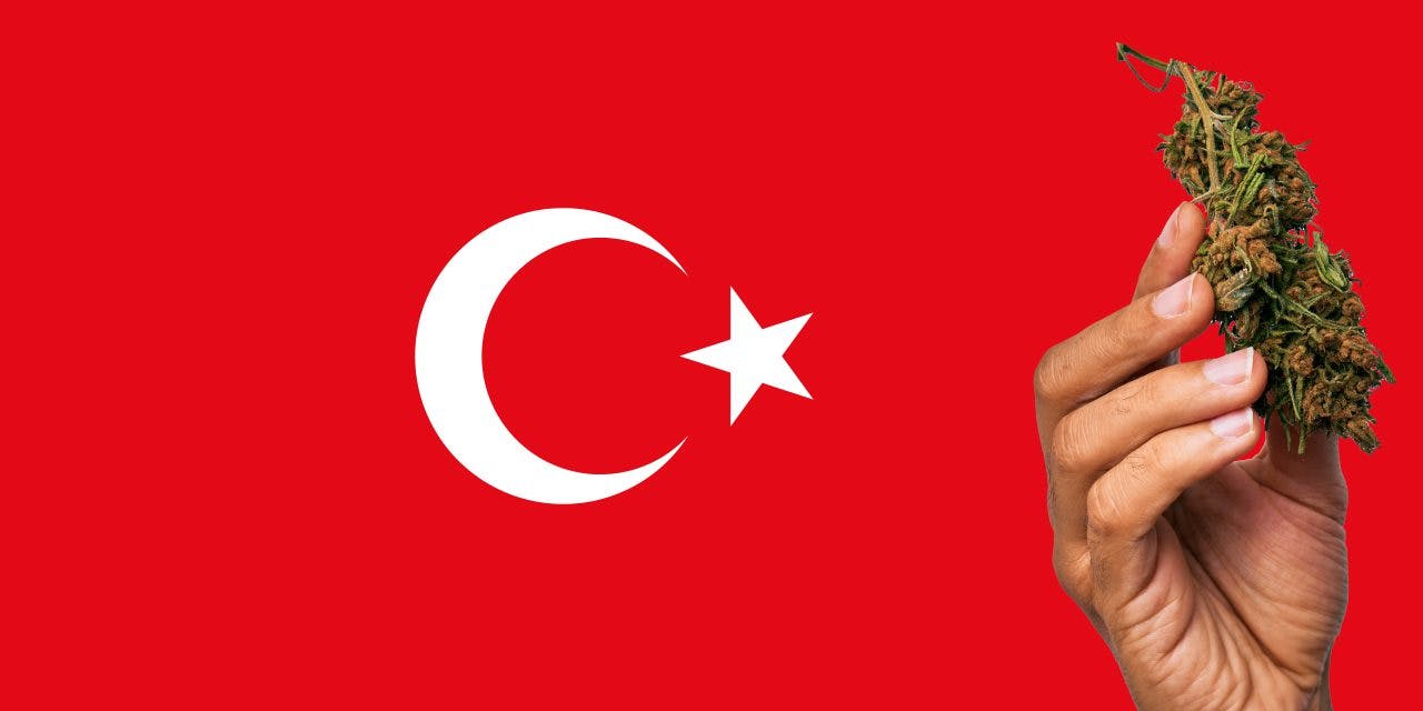 Turkey flag with a hand holding a marijuana infront of it