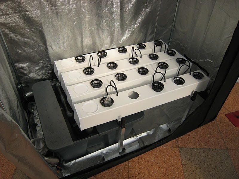 A hydroponic system in a grow box.