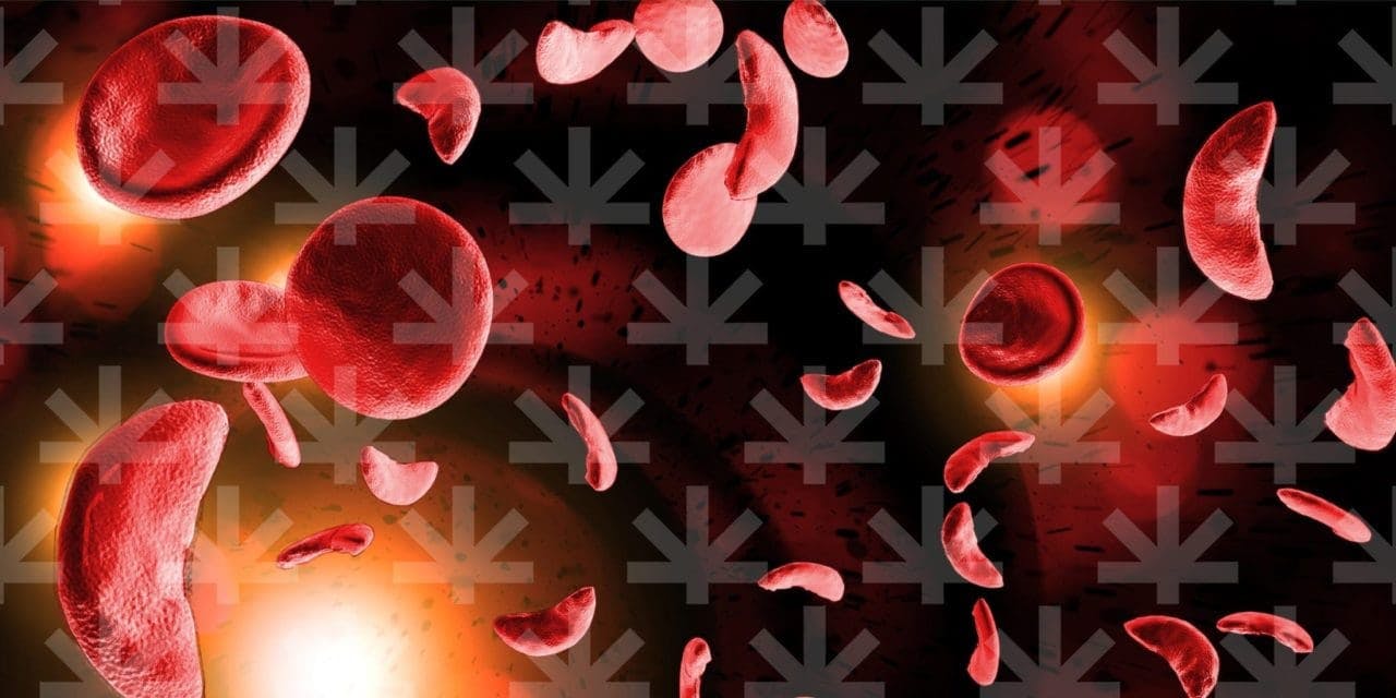group of red blood cells