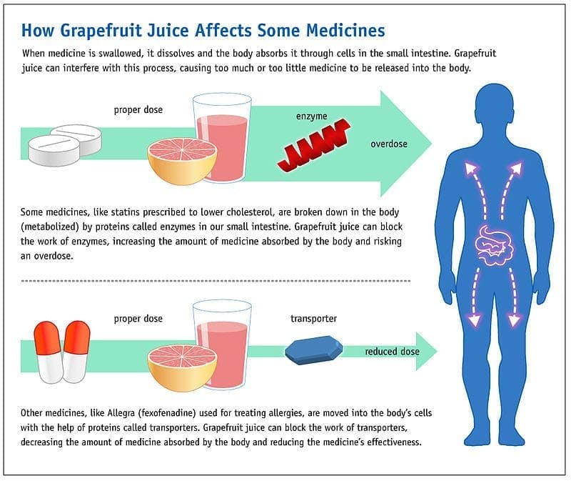 Grapefruit juice; drug interactions; how grapefruit interacts with drugs; negative drug interactions; liver enzymes; small intestine enzymes; drug metabolism.