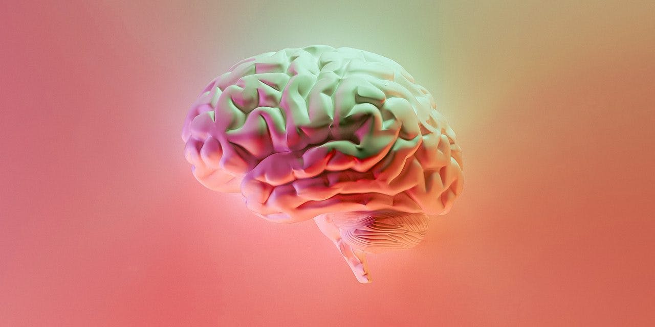 colorful image of human brain