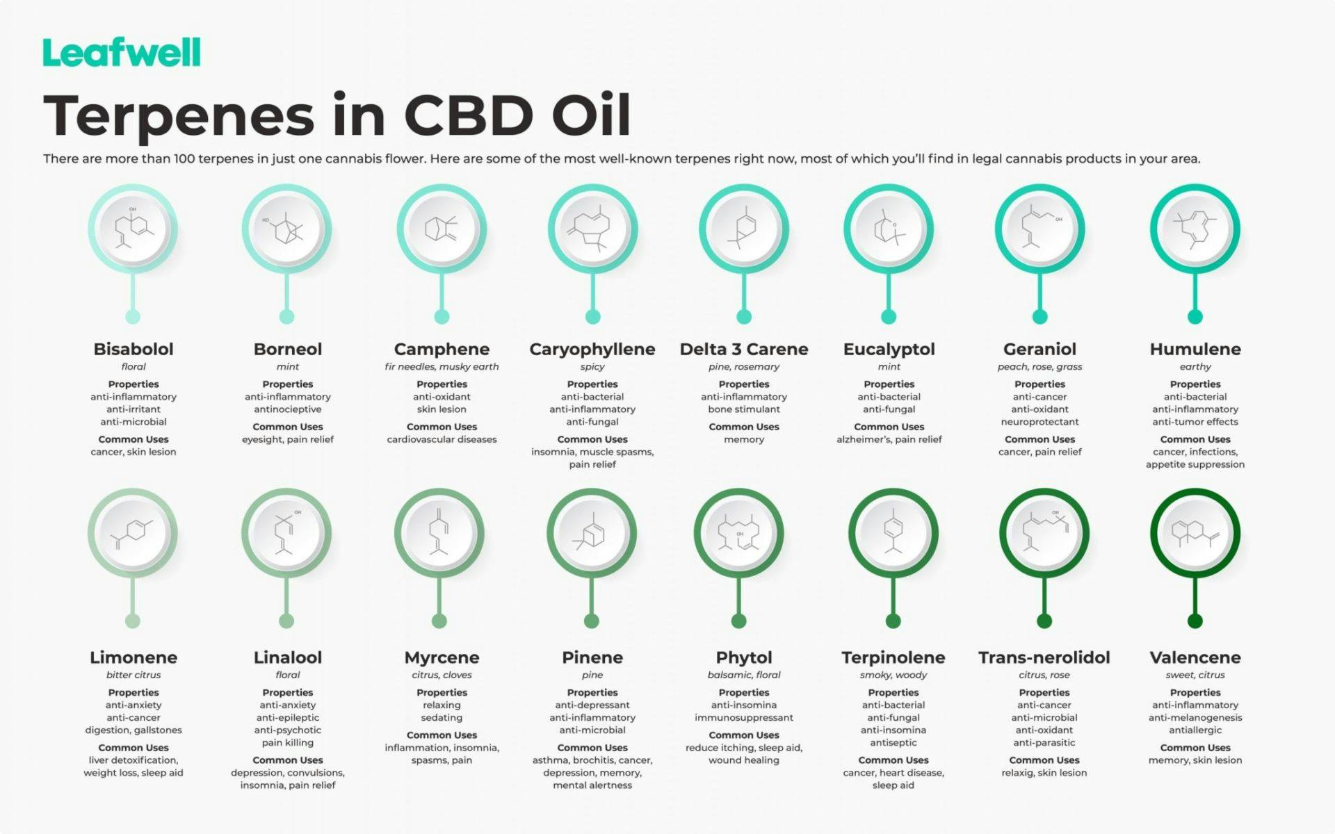 graphic of the terpenes in cbd oil