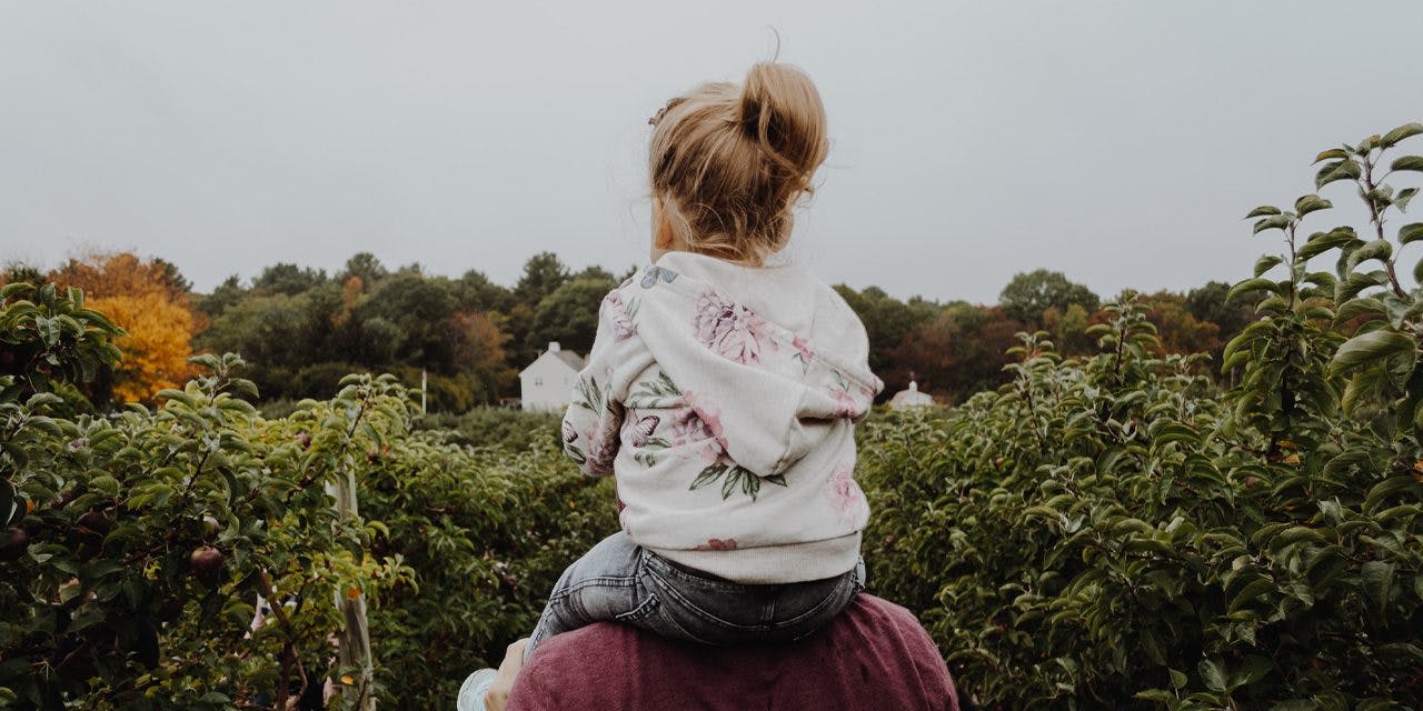 little girl riding on a person's shoulder facing the trees infront of them