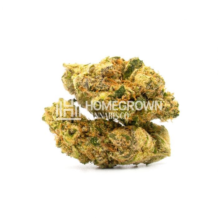 Cannabis bud / marijuana flower - Exodus Cheese x Blue Headband by Homegrown Cannabis Co.
