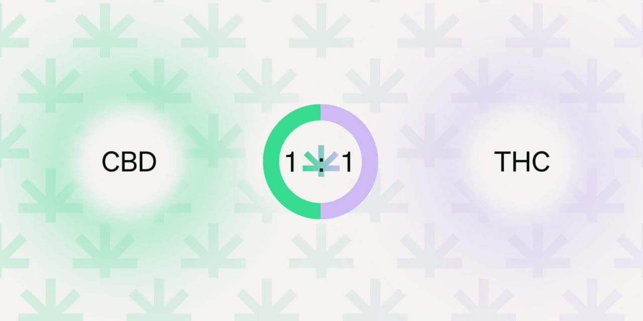 graphics of CBD 1:1 THC