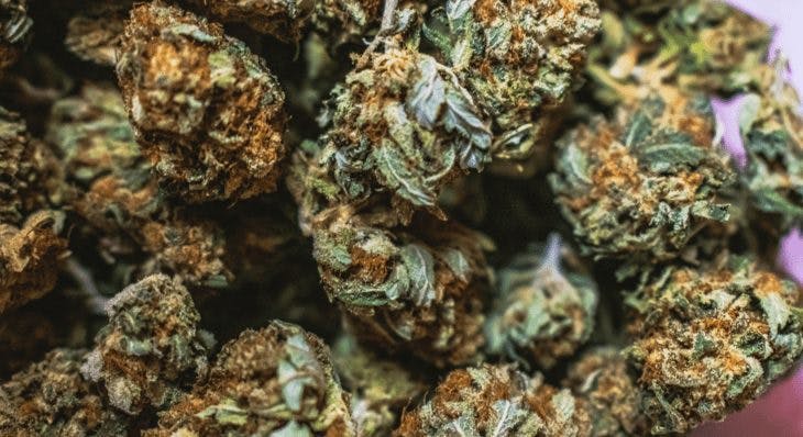 Is there a difference between medical cannabis flower and recreational marijuana?