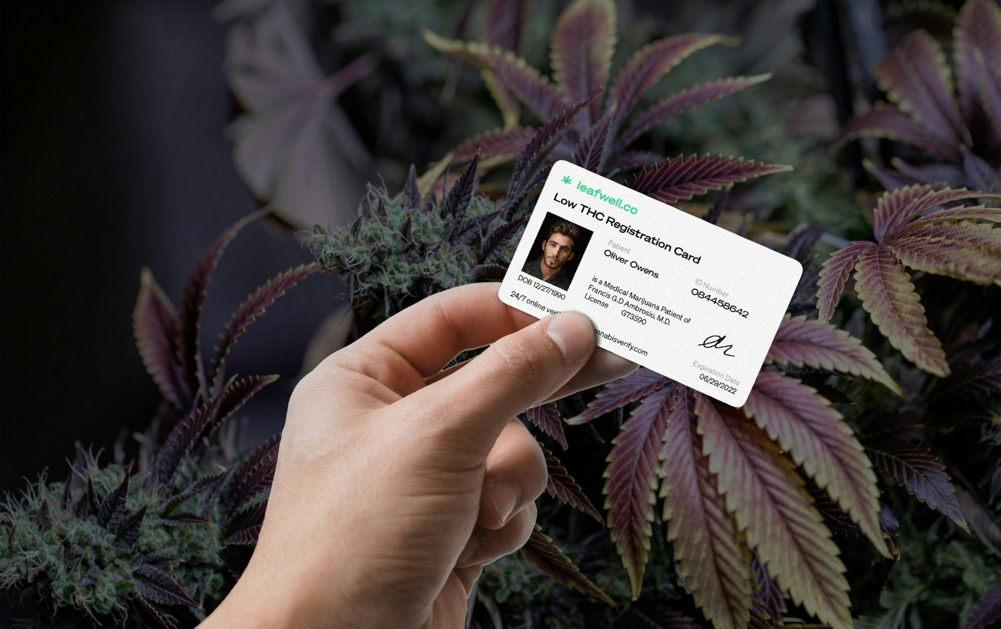low thc cannabis card
