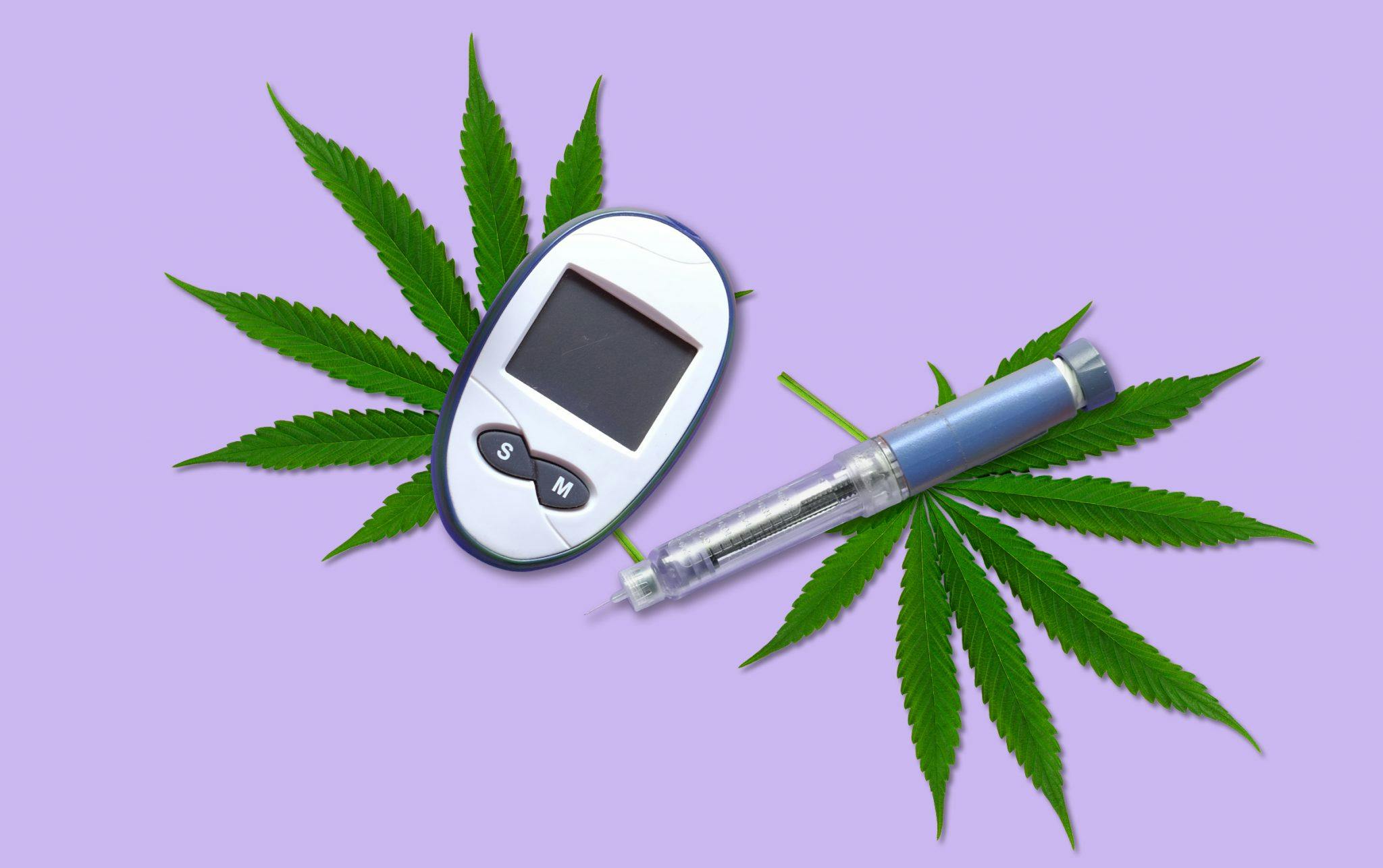 marijuana and diabetes