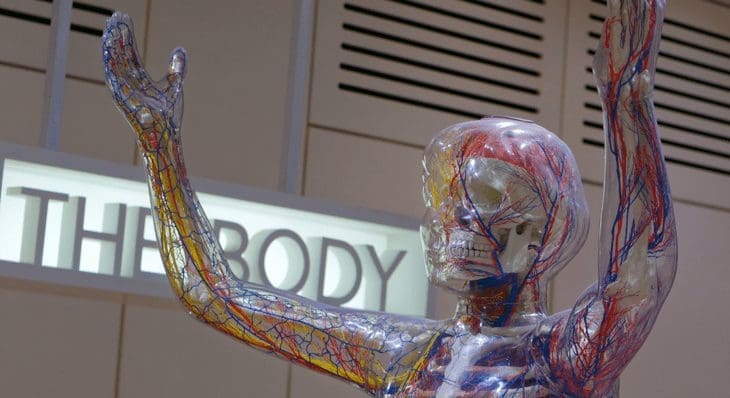 Clinical Endocannabinoid Deficiency