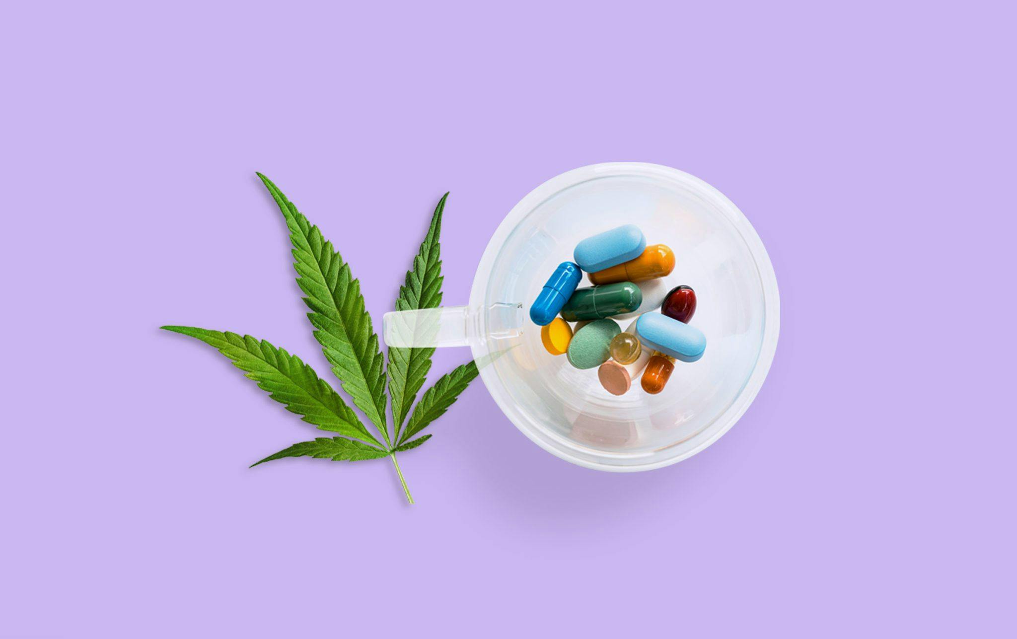 medication in a dish and a marijuana leaf