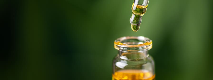 Dropper bottle of CBD oil